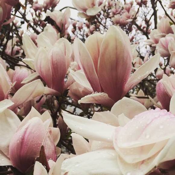 Meet your Posher, Margaret - Picture 1 of 1